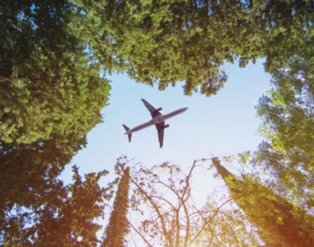 Plane flying over treetops