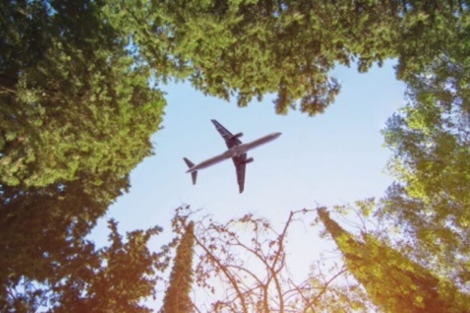 Plane flying over treetops
