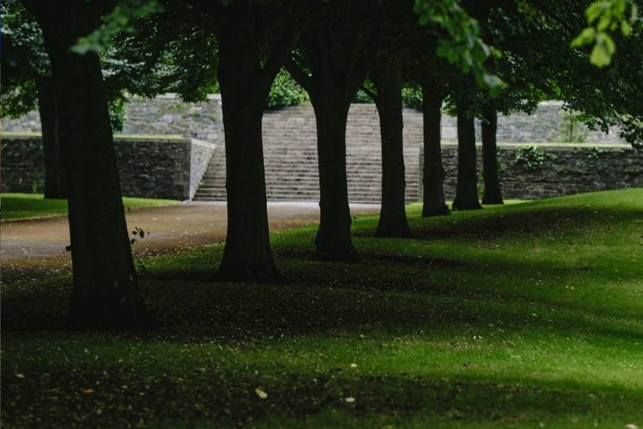 Dublin-park