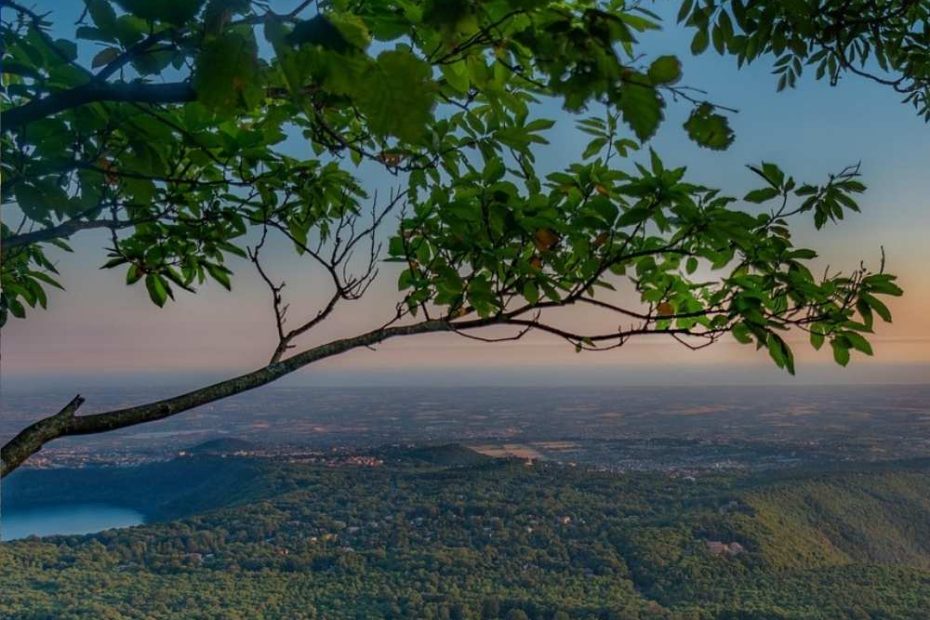 Italy - vineyard - 1000x1000px